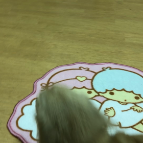 Wマロン（動画ヴァージョン）の画像