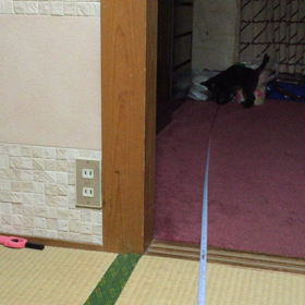 メジャーで遊ぶの画像