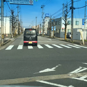 4/5春になってきましたの画像