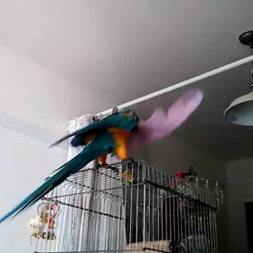 今日で５ヶ月。の画像