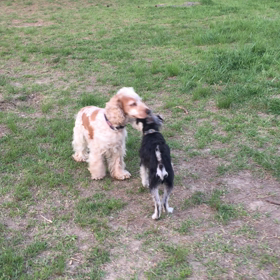 モテるって…の画像