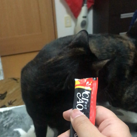 騙された！の画像