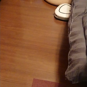 老犬 ロボット掃除機に出会うの画像