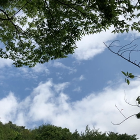 20秒の空の画像