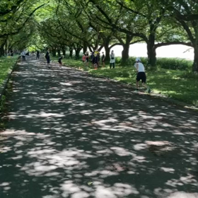 5月29日 クラブ交流リレー練習(往復バトン)⑧の画像