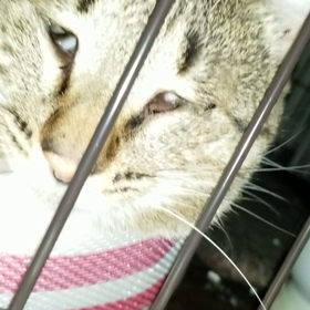 おやすみなさいの画像