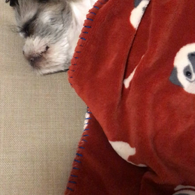 竜の道　第7話、第8話の画像