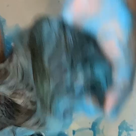 イシブロの画像