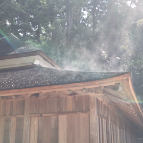 出雲へ　～当日、現地から動画もお届けします！～の画像