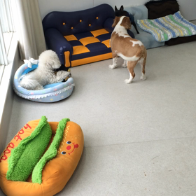 ♪プレイルーム動画♪①の画像