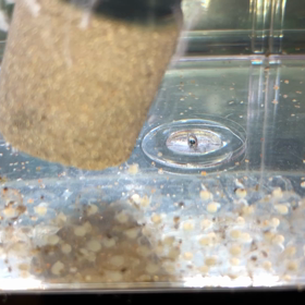 本当の1週間❤︎  part 1.の画像