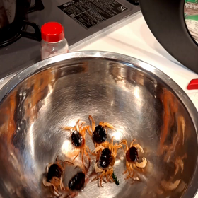 今日からあたらしい自分にすること。     709の画像