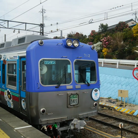 元気に走ってます♪の画像