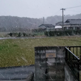 今年初雪‼️‼️の画像