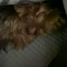 どう違うのかよくわからないけどの画像