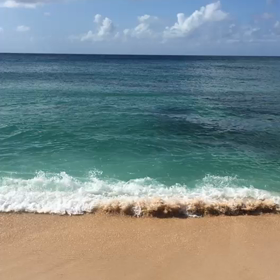 ハワイ動画の画像