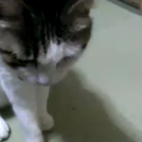 スティックタイプの画像