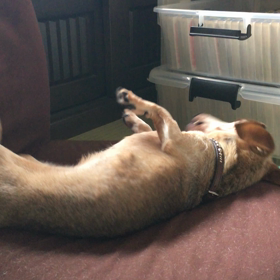 準備は、内緒での画像