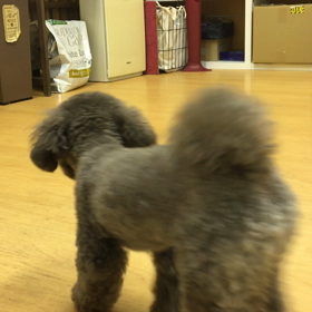 上手いねぇ。の画像