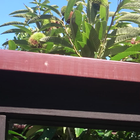 えっ！(°Д°)もう？の画像