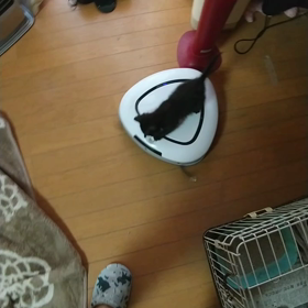 あなたも乗るのねｗｗｗの画像