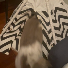 妖怪シェアハウス　帰ってきたん怪　第7話から最終回の画像