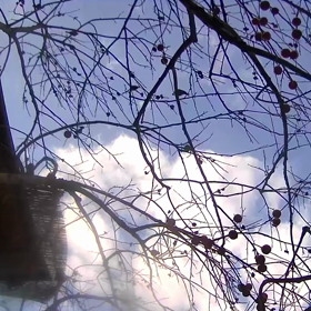 すぎぴたんの事件簿シーズン3　142話（あの頃のレストラン柿）の画像