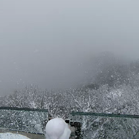 あひる山？  雪の金華山(動画編③)の画像