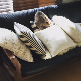 やんちゃboyの画像