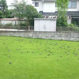 恐ろしい～の画像