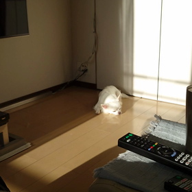 昼下り。の画像