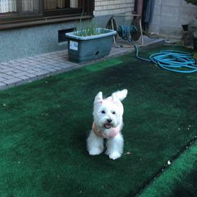 サッパリね(*^^*)の画像