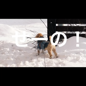 ”特養入って1年と263日目。。。あと1週間で転院の画像