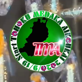 明日はイベントです(*´ 艸｀)の画像