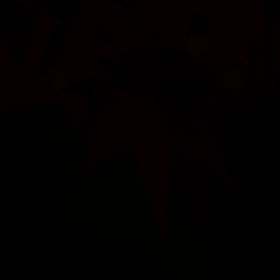 ちょっと歌ってみましたの画像