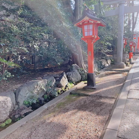 モヤモヤを浄化する動画♡の画像