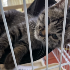 なんと！の画像