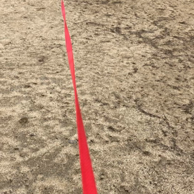 2月5日  日常のお散歩の画像