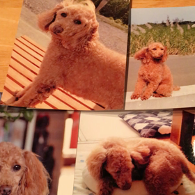 待ち遠しいの画像