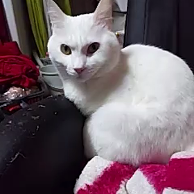 a7ひろちゃんの画像