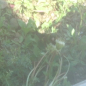 なんて爽やかな気分＼(^o^)／の画像