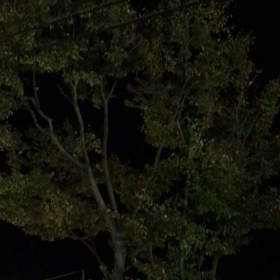 おやっΣ(￣。￣ﾉ)ﾉの画像