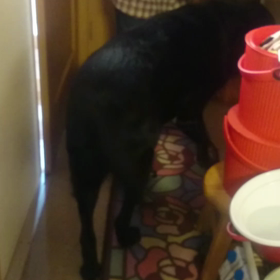 おしごとの画像