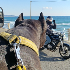 海だよ～ ♥️ その４の画像