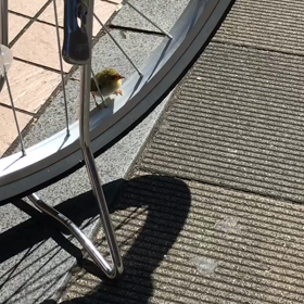 疲れているあなたへの画像