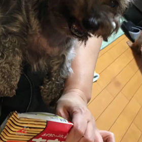 あずきバーの画像