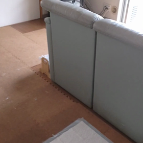 今日のシロくんの画像