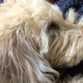 抱っこでねんね。の画像