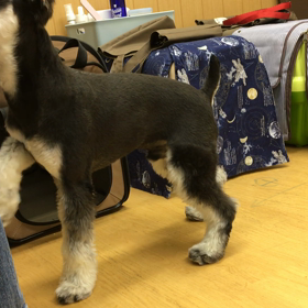 考えろって言うから〜。の画像