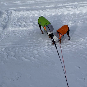 最近のぴんチョコの画像